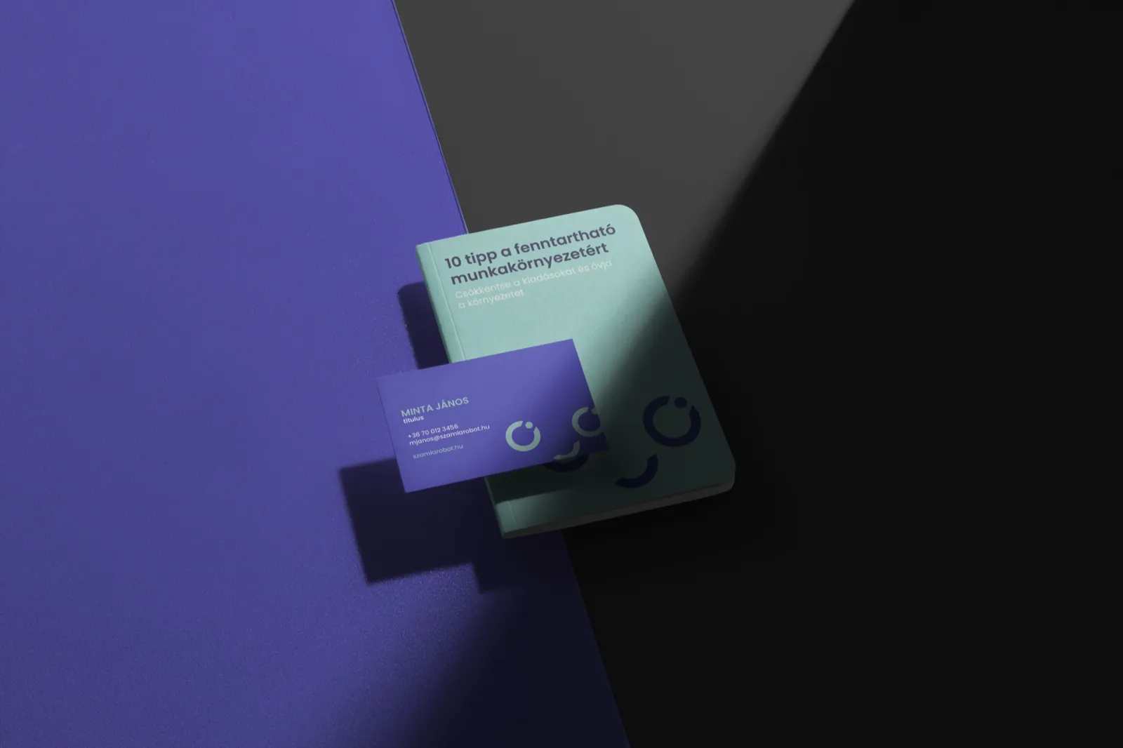 SzámlaRobot – arculattervezés és felhasználóbarát weboldal